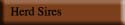Herd Sires
